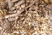 Peeled cassava husks - Santo Amaro do Maranhao city - Maranhao state (MA) - Brazil