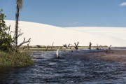 View of Alegre River and dunes - Lencois Maranhenses National Park  - Santo Amaro do Maranhao city - Maranhao state (MA) - Brazil