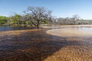 View of Alegre River - Lencois Maranhenses National Park  - Santo Amaro do Maranhao city - Maranhao state (MA) - Brazil