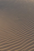 Dunes - Lencois Maranhenses National Park  - Barreirinhas city - Maranhao state (MA) - Brazil