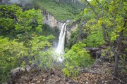 View of the Salto Waterfall (80m) - Rio Preto jumps - Chapada dos Veadeiros National Park  - Alto Paraiso de Goias city - Goias state (GO) - Brazil