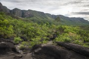 Typical vegetation of cerrado - Vale da Lua (Lua Valley) - Veadeiros Plateau - Alto Paraiso de Goias city - Goias state (GO) - Brazil
