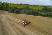 Soybean Harvest - Mutuca Farm - Arapoti city - Parana state (PR) - Brazil