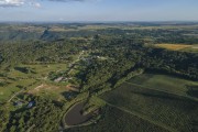 Kiwi plantation - Sao Luiz do Puruna Mountain Range in the background - Balsa Nova city - Parana state (PR) - Brazil