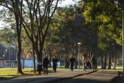 Winter morning in Barigui Park - Curitiba city - Parana state (PR) - Brazil