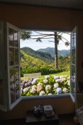 Garden view through window - Bocaina de Minas city - Minas Gerais state (MG) - Brazil