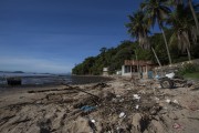 Polluted beach on the edge of Mage - Guanabara Bay - Mage city - Rio de Janeiro state (RJ) - Brazil