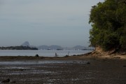 Polluted beach on the edge of Mage - Guanabara Bay - Mage city - Rio de Janeiro state (RJ) - Brazil