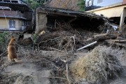 Destruction caused by heavy rains at Chácara Flora - Petropolis city - Rio de Janeiro state (RJ) - Brazil