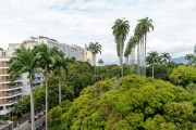 Imperial palm trees in the garden of the Museum of Republic - old Catete Palace (1867) - Rio de Janeiro city - Rio de Janeiro state (RJ) - Brazil
