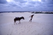 Man pulling donkey on Genipabu dunes - The 90s - Extremoz city - Rio Grande do Norte state (RN) - Brazil