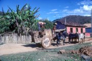 Man in a cart drawn by oxen - The 80s - Mariana city - Minas Gerais state (MG) - Brazil