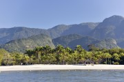 Coconut trees on the edge of Mangaratiba Beach - Mangaratiba city - Rio de Janeiro state (RJ) - Brazil