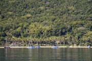 Sailboats moored at Ubatubinha Beach - Ilha Grande State Park - Tamoios Environmental Protection Area - Angra dos Reis city - Rio de Janeiro state (RJ) - Brazil