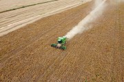Picture taken with drone of the soy mechanized harvesting - Planalto city - Sao Paulo state (SP) - Brazil