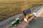 Picture taken with drone of transshipment unloading Soybean in Bulk Truck - Planalto city - Sao Paulo state (SP) - Brazil