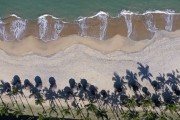 Picture taken with drone of coconut trees on the beach - Mangaratiba city - Rio de Janeiro state (RJ) - Brazil