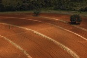Land preparation for planting - Bartira Farm - Canapolis city - Minas Gerais state (MG) - Brazil