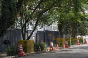 Species identification screens placed by the construction company on the tree trunks to prevent damage from the movement of trucks - Sao Paulo city - Sao Paulo state (SP) - Brazil
