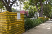 Species identification screens placed by the construction company on the tree trunks to prevent damage from the movement of trucks - Sao Paulo city - Sao Paulo state (SP) - Brazil