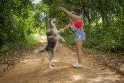 Woman walks Siberian Husky dog on country road - Guarani city - Minas Gerais state (MG) - Brazil