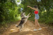Woman walks Siberian Husky dog on country road - Guarani city - Minas Gerais state (MG) - Brazil
