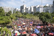 Revelers at the Boi Tolo carnival street troup - Flamengo Landfill - Rio de Janeiro city - Rio de Janeiro state (RJ) - Brazil