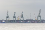  View of cranes of the Pier Maua from Maua Square  - Rio de Janeiro city - Rio de Janeiro state (RJ) - Brazil