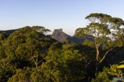 View of Rock of Gavea from Tijuca Forest - Tijuca National Park - Rio de Janeiro city - Rio de Janeiro state (RJ) - Brazil