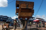 Worker loading boxes at the Port of Manaus - Manaus city - Amazonas state (AM) - Brazil