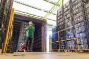 Worker in warehouse unloading plastic boxes with  table grapes - Petrolina city - Pernambuco state (PE) - Brazil