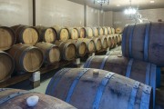 Oak barrels in an air-conditioned cellar for wine tasting - Lagoa Grande city - Pernambuco state (PE) - Brazil