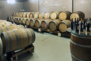 Oak barrels in an air-conditioned cellar for wine tasting - Lagoa Grande city - Pernambuco state (PE) - Brazil