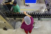 Wine industry employee sealing bottled wine bottles - Lagoa Grande city - Pernambuco state (PE) - Brazil