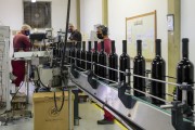 Wine industry employees packing wine bottles - Lagoa Grande city - Pernambuco state (PE) - Brazil