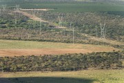 Top view of fruit orchard irrigated by the Sao Francisco River and electric power transmission lines of Sobradinho - Senador Nilo Coelho Project - Sao Francisco River Valley - Sobradinho city - Bahia state (BA) - Brazil
