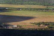 Top view of a fruit orchard irrigated by the Sao Francisco River in the background - Senador Nilo Coelho Project - Sao Francisco River Valley - Sobradinho city - Bahia state (BA) - Brazil