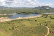 Picture taken with drone of the corn planting in a small rural property planted during the rainy season - in the background Cipo reservoir of the Transposition of the Sao Francisco River - Brejo Santo city - Ceara state (CE) - Brazil