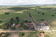 Picture taken with drone of the cattle ranch with green pasture formed in rainy season - Brejo Santo city - Ceara state (CE) - Brazil