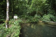 Historic reservoir for water catchment in the Tijuca Forest - Tijuca National Park - Rio de Janeiro city - Rio de Janeiro state (RJ) - Brazil