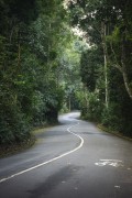 Dona Castorina Road in the area of Mesa do Imperador - Tijuca National Park - Rio de Janeiro city - Rio de Janeiro state (RJ) - Brazil