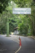 Dona Castorina Road - Tijuca National Park - Rio de Janeiro city - Rio de Janeiro state (RJ) - Brazil