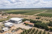 Picture taken with drone of wine industry - Grape vines in the background - Lagoa Grande city - Pernambuco state (PE) - Brazil