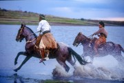 Gauchos in traditional costume crossing the river on horseback - Alegrete city - Rio Grande do Sul state (RS) - Brazil