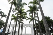 Imperial palm trees and the Lapa Arches (1750) - Rio de Janeiro city - Rio de Janeiro state (RJ) - Brazil
