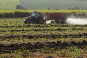Tractor making fertilizing soil for planting sugarcane - Pereira Barreto city - Sao Paulo state (SP) - Brazil
