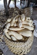 Raw and peeled Cassava in straw basket - Santo Amaro do Maranhao city - Maranhao state (MA) - Brazil