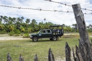 Jeeps used for sightseeing with coconut trees in the background - Lençois Maranhenses National Park - Santo Amaro do Maranhao city - Maranhao state (MA) - Brazil