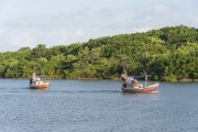 Boats and Mangrove vegetation in the background - Raposa city - Maranhao state (MA) - Brazil