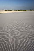 Dunes - Lencois Maranhenses National Park  - Santo Amaro do Maranhao city - Maranhao state (MA) - Brazil
